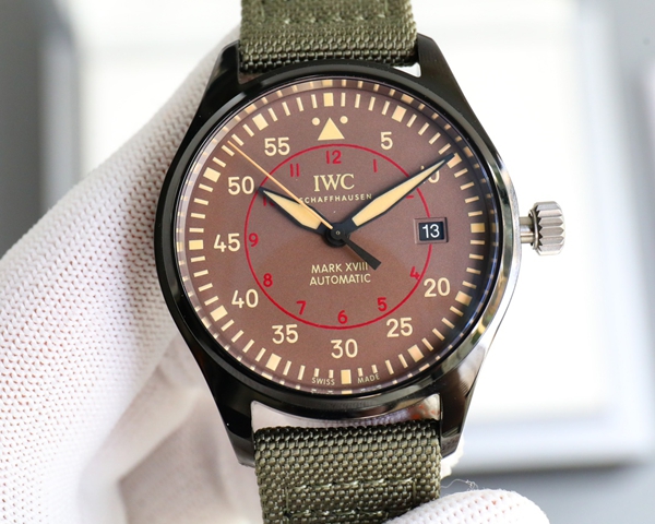 アイ・ダブリュー・シー側面デザイン